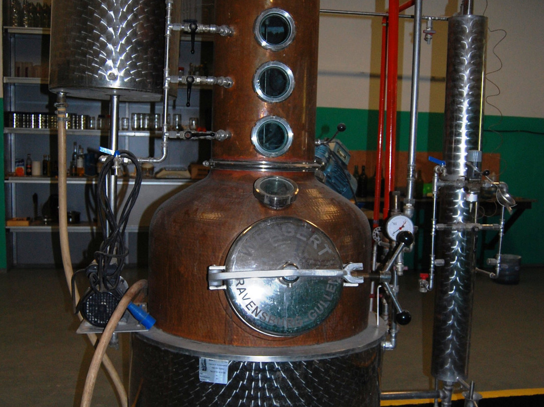 Tierra de Lobo-Coquimbito必去景点