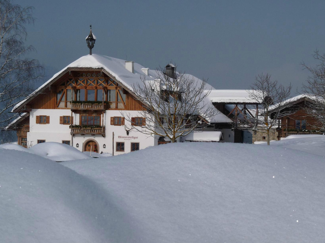 安娜山露哥滋酒店住宿-Winterstellgut