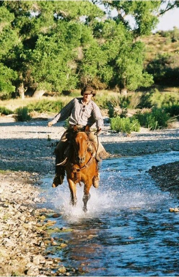 Gold Bar Ranch Bed & Breakfast主图