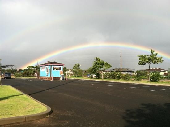 Akamai Coffee Company