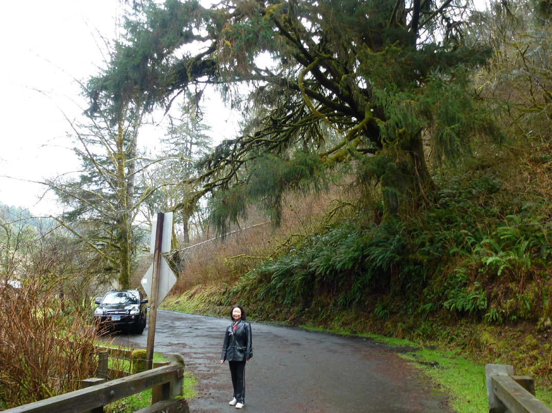 North Fork Yachats Covered Bridge-亚查茨必去景点