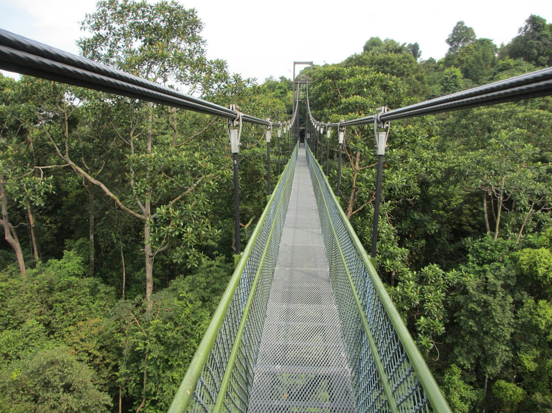 麦里芝自然小径-新加坡必去景点
