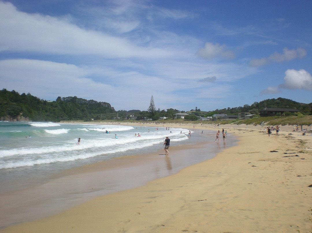 Ruakaka Beach景点图片
