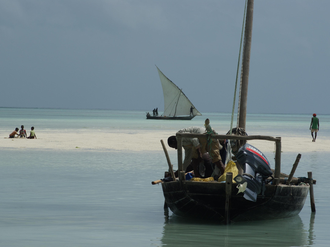 Nungwi Mnarani Aquarium-孥归必去景点