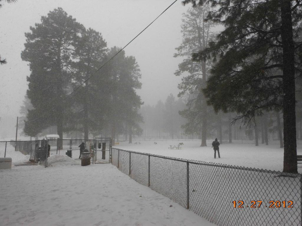 Thorpe Park-弗拉格斯塔夫必去景点