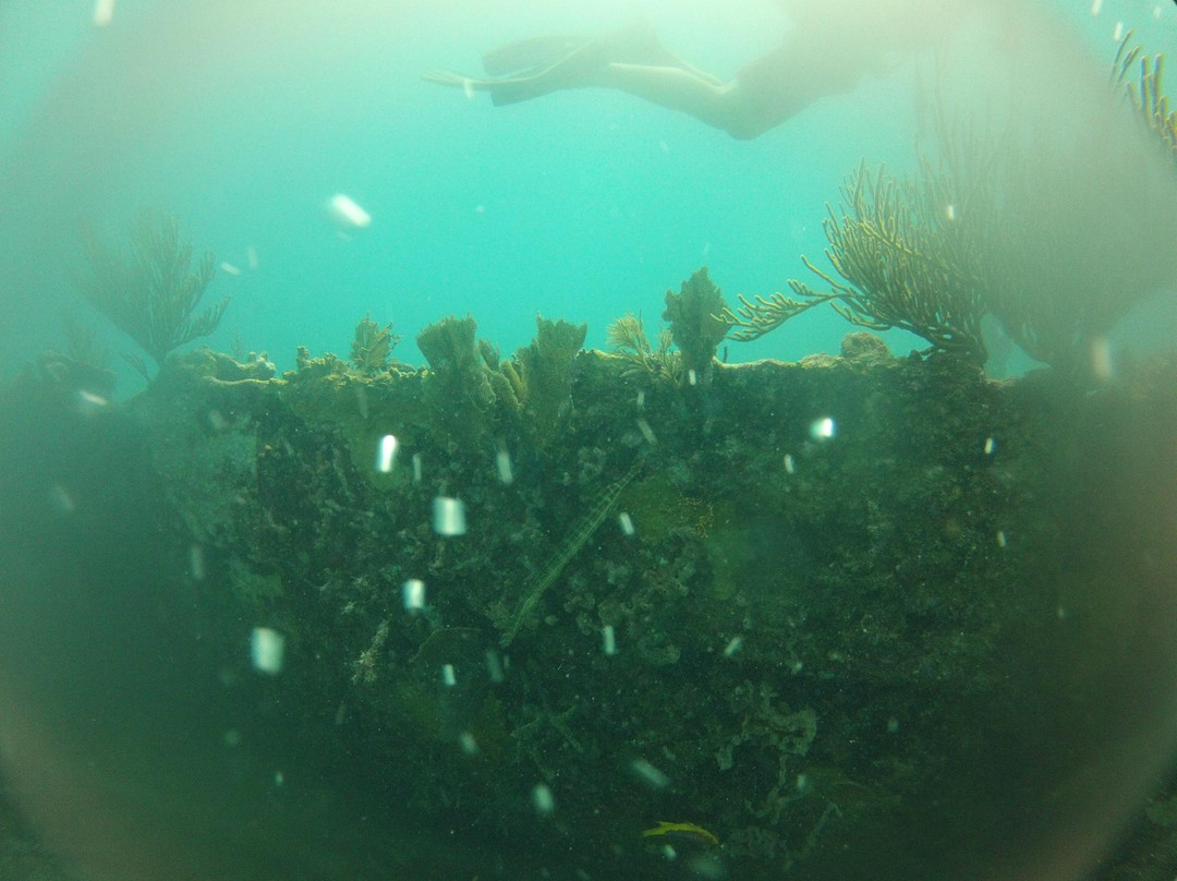 Benwood wreck-拉哥岛必去景点