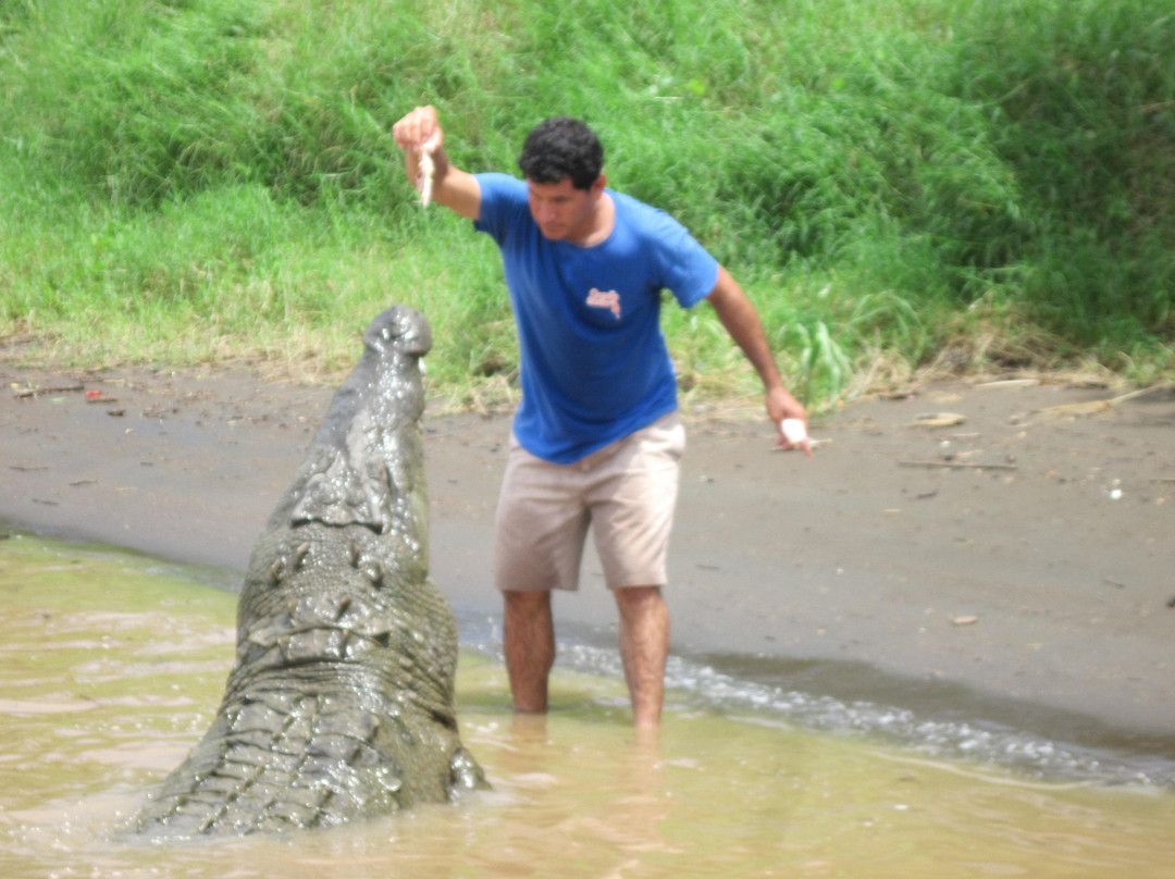 Crocodile Man Tour景点图片