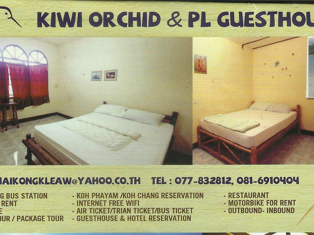 Kiwi Orchid Guesthouse主图