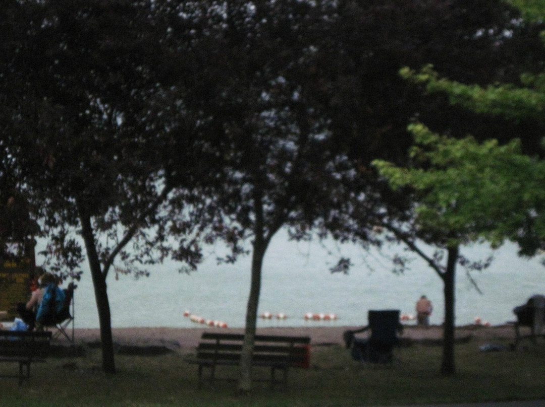 Cayuga Lake景点图片