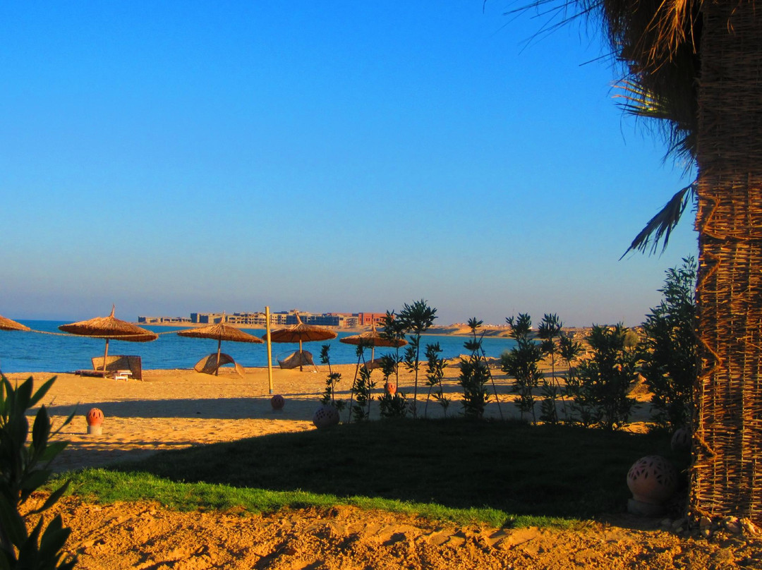 Kiteloop Egypt Experience景点图片