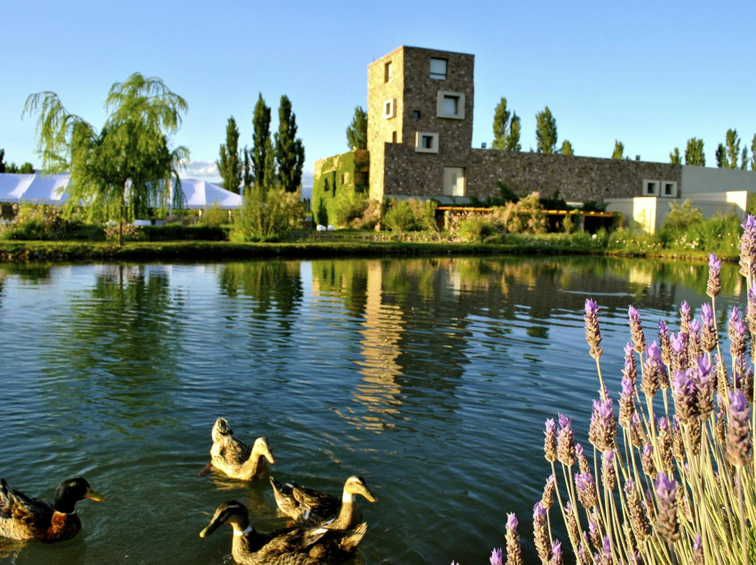 Bodega Renacer-路冉得库约必去景点