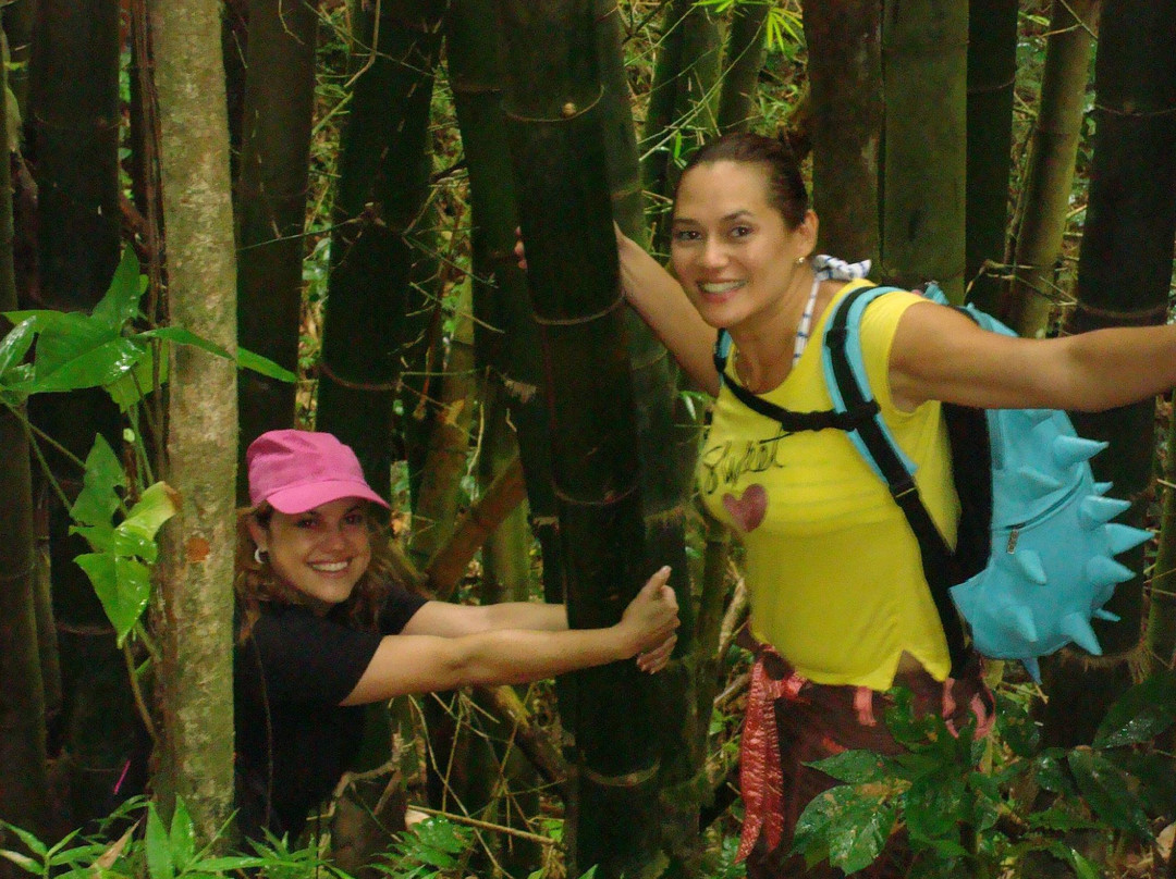 Floriham TreeTop Adventures-Canovanas必去景点