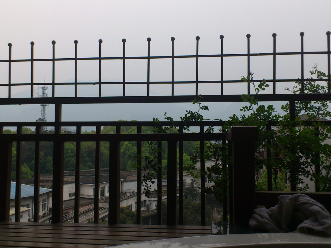 天颐温泉度假大饭店主图