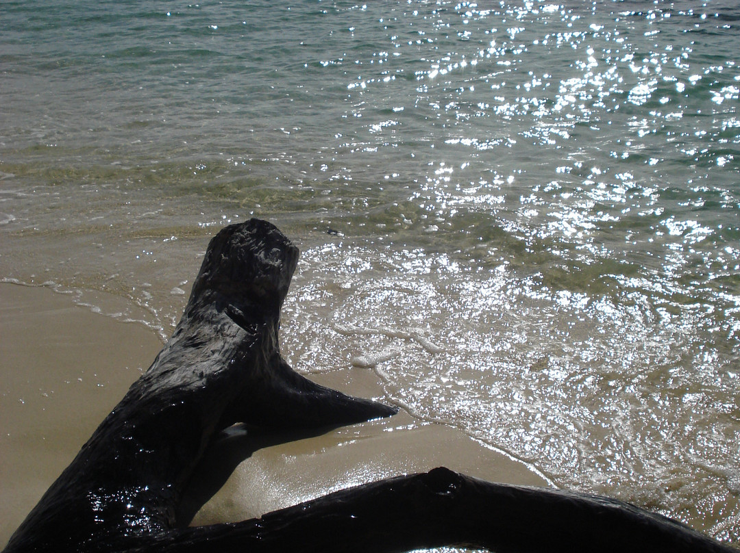 Ipil Beach-爱妮岛必去景点