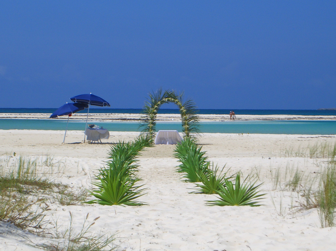 Playa Paraiso景点图片