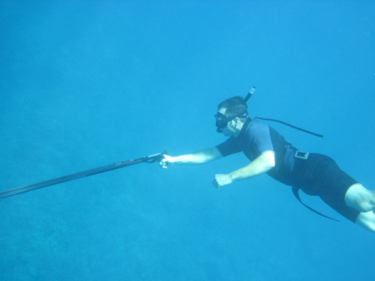 Top Shot Spearfishing-拉海纳必去景点