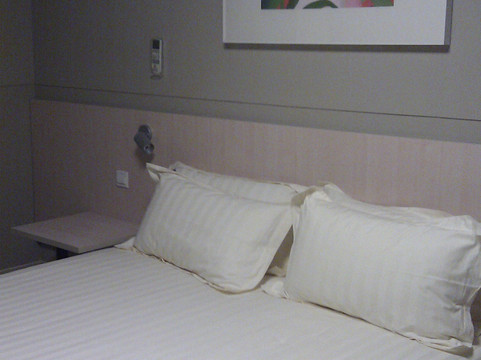 上海锦江之星外滩滨江店主图