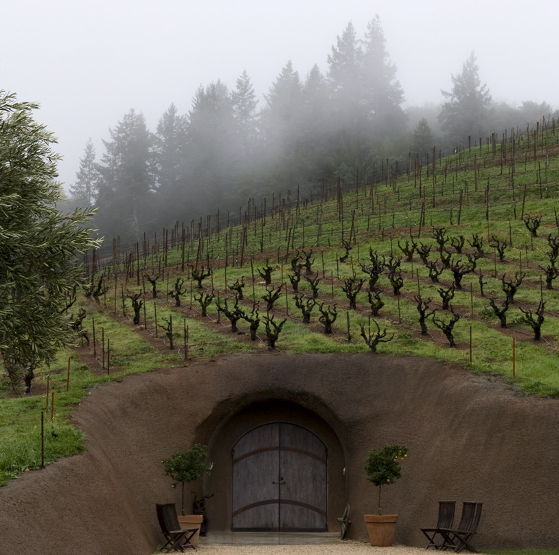 Bella Vineyards and Wine Caves景点图片