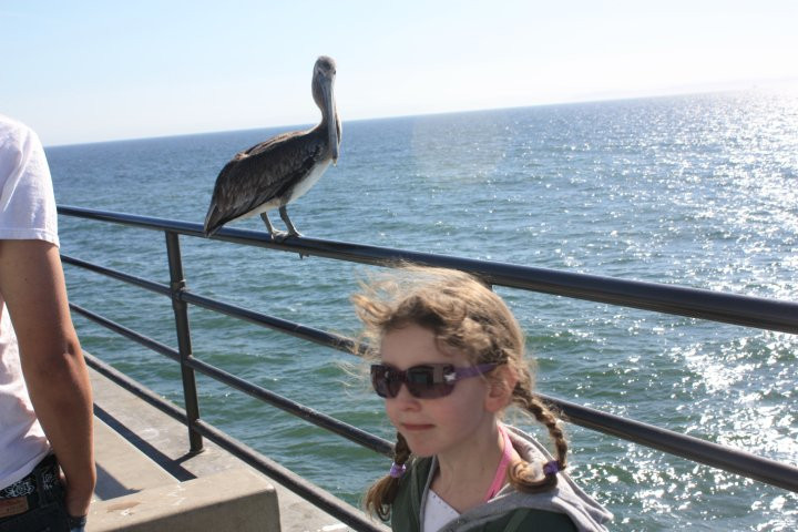 Huntington Central Park-亨廷顿海滩必去景点