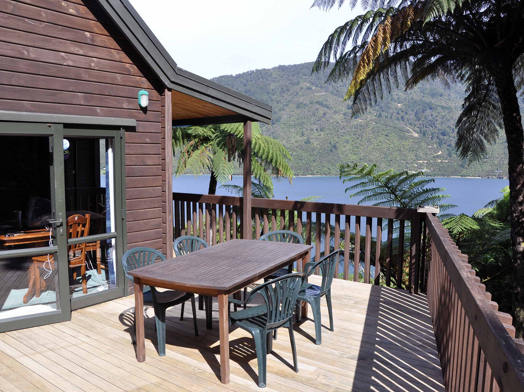 Punga Cove酒店住宿-The Bluewater Lodge
