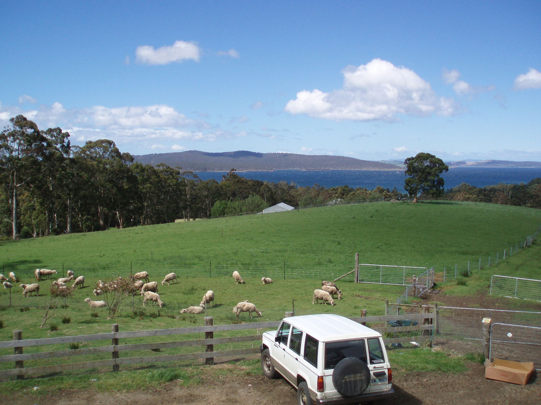 Grandvewe Cheeses-Birchs Bay必去景点