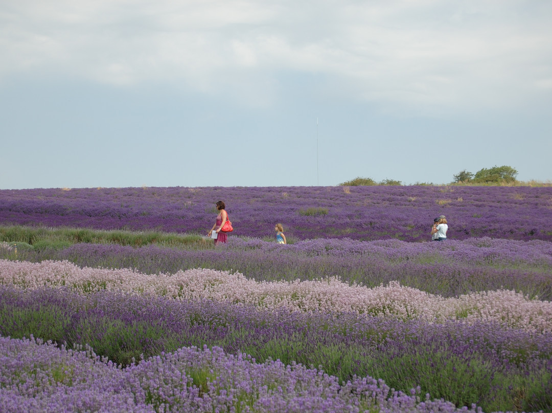 Tour the Cotswolds-Snowshill必去景点