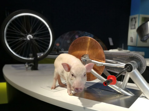 InnoPark-莫斯科必去景点