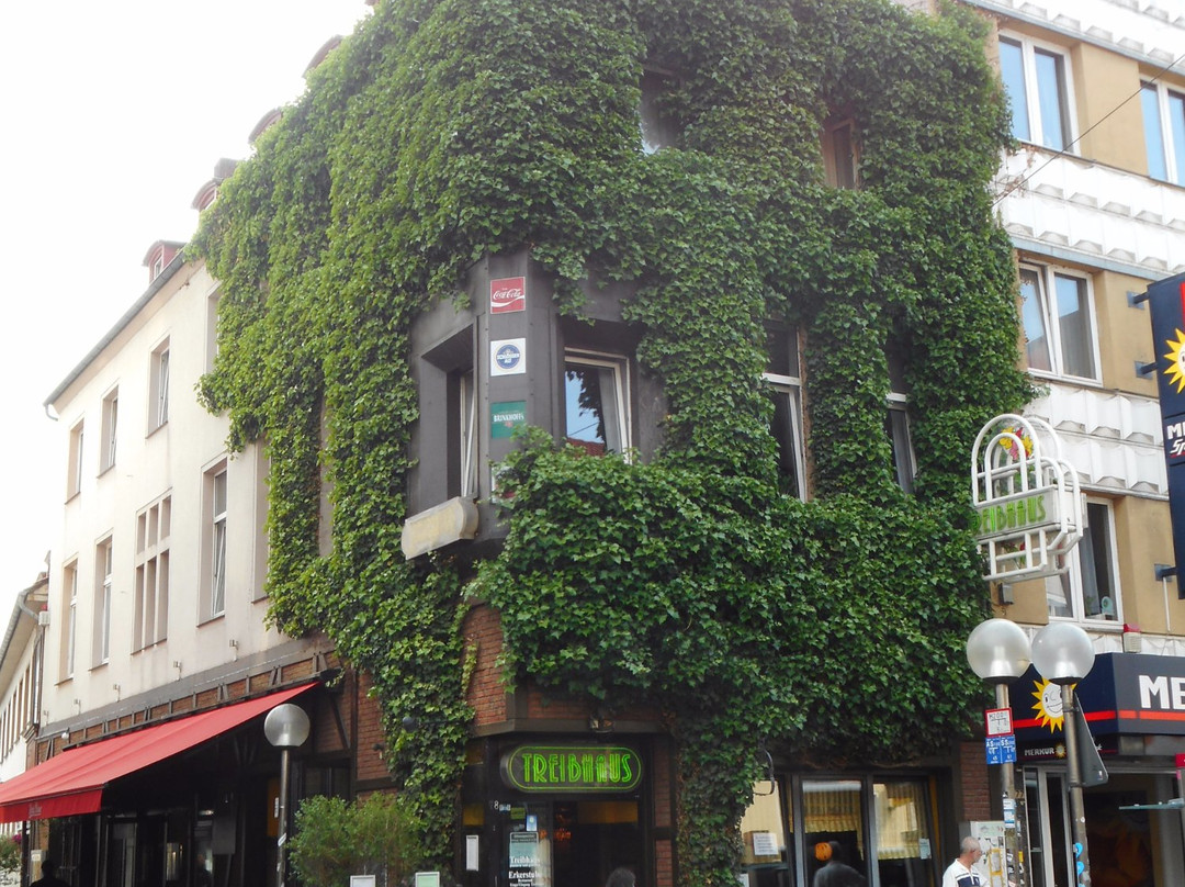 Treibhaus
