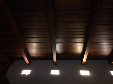 San Agustin Tlaxiaca餐馆和美食-Terrassa