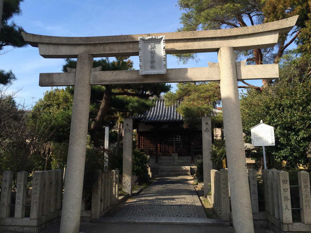 Tsuneyoshi Susanoo Shrine景点图片