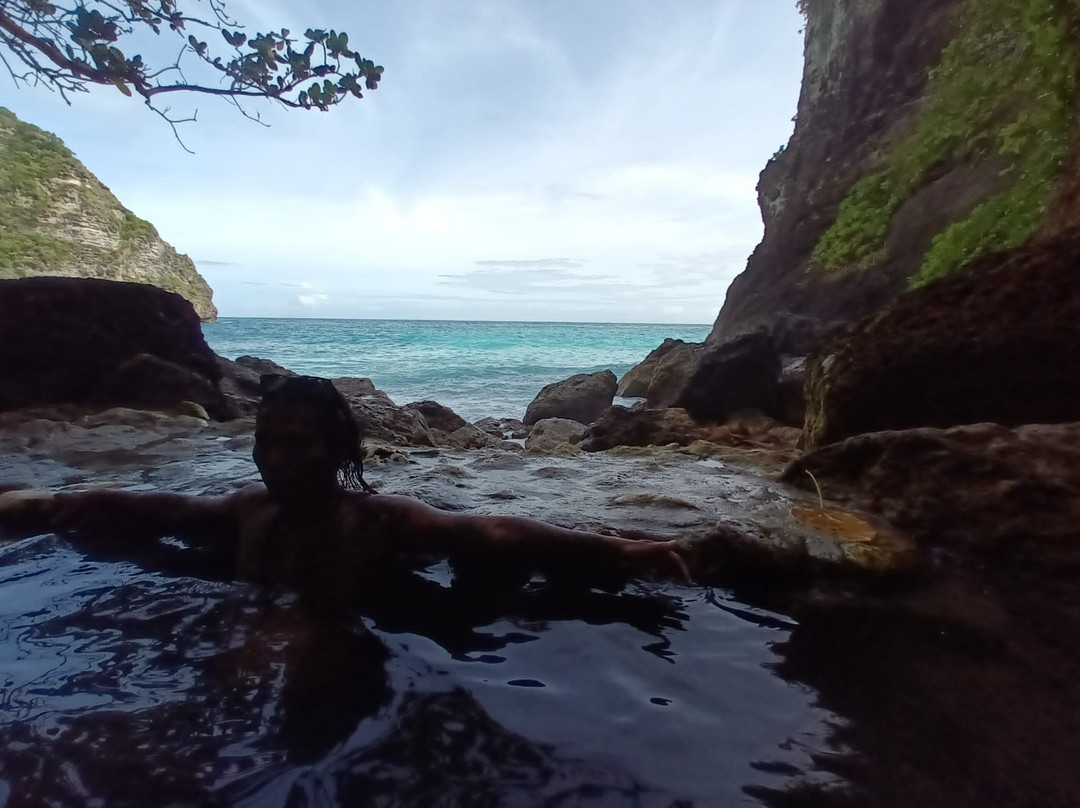 Temeling Jungle Inn主图