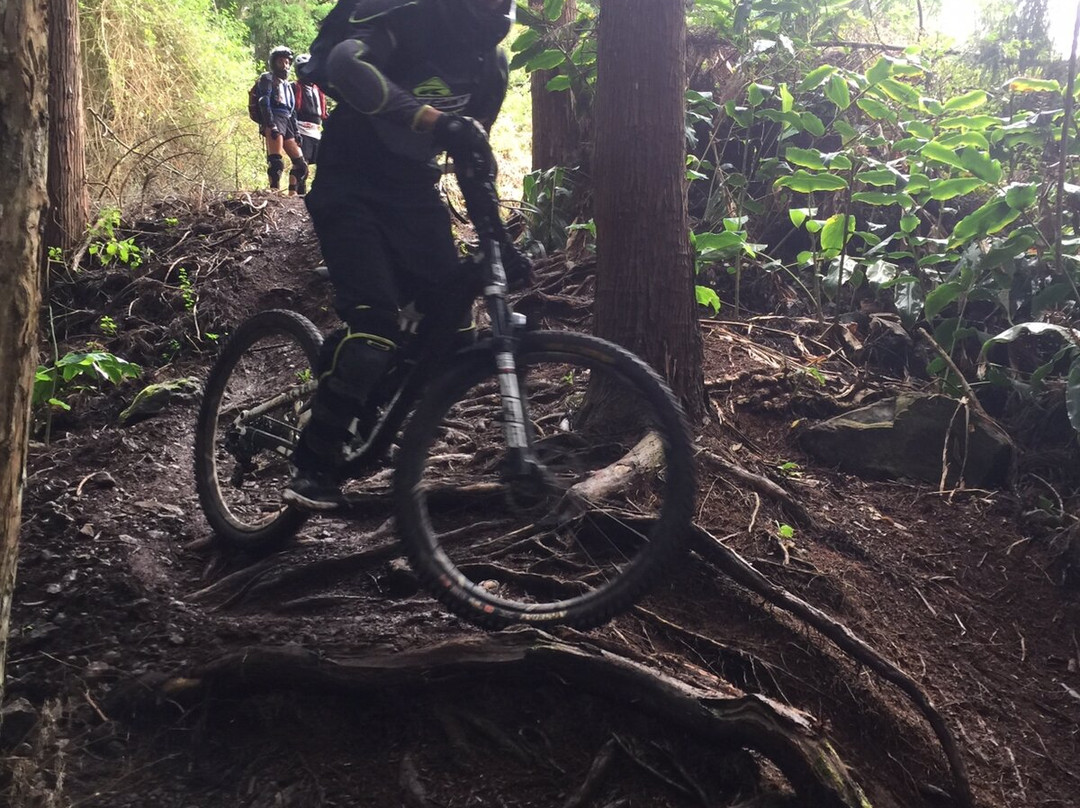 Réunion Bike Aventure景点图片