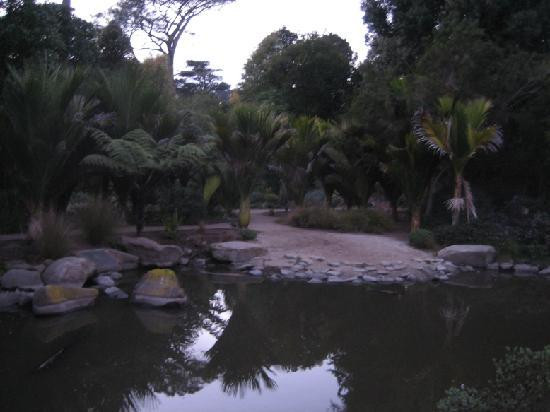 斯翠宾植物园旧金山植物园-旧金山必去景点