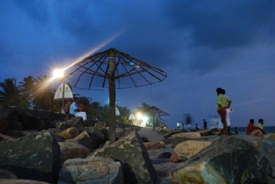 Cherai Beach景点图片