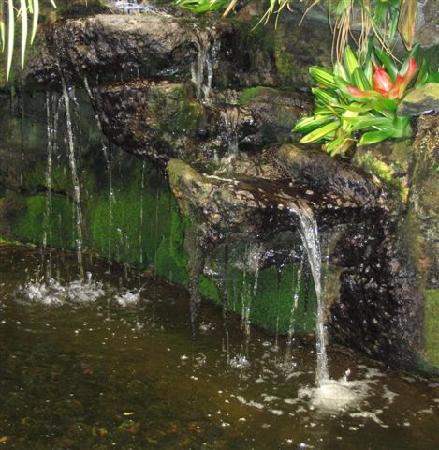 Sherman Library & Gardens-科罗纳戴尔马尔必去景点