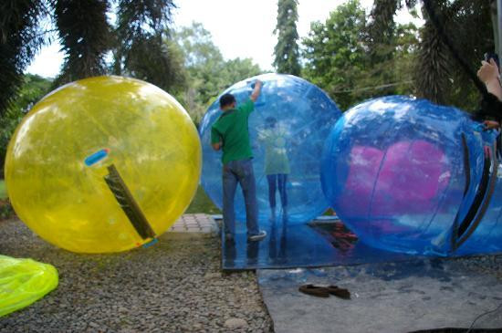Davao Zorb Park-达沃必去景点
