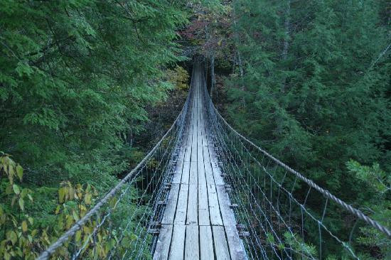 Fall Creek Falls-Spencer必去景点