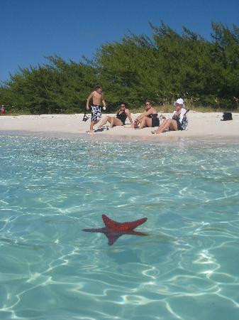 Exuma Cays Adventures-大埃克苏马必去景点