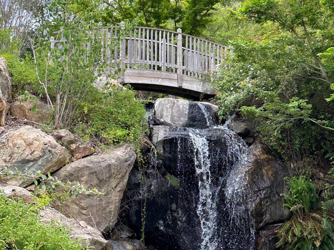 Sonoma Botanical Garden景点图片