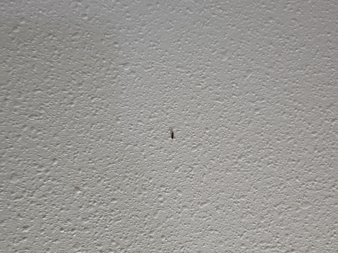 南萨凡纳贝蒙特旅馆套房酒店主图