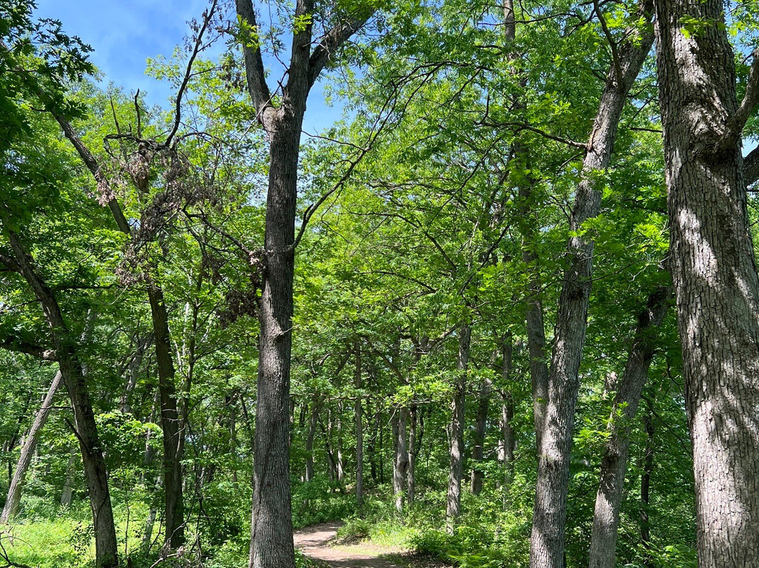 Lebanon Hills Regional Park景点图片