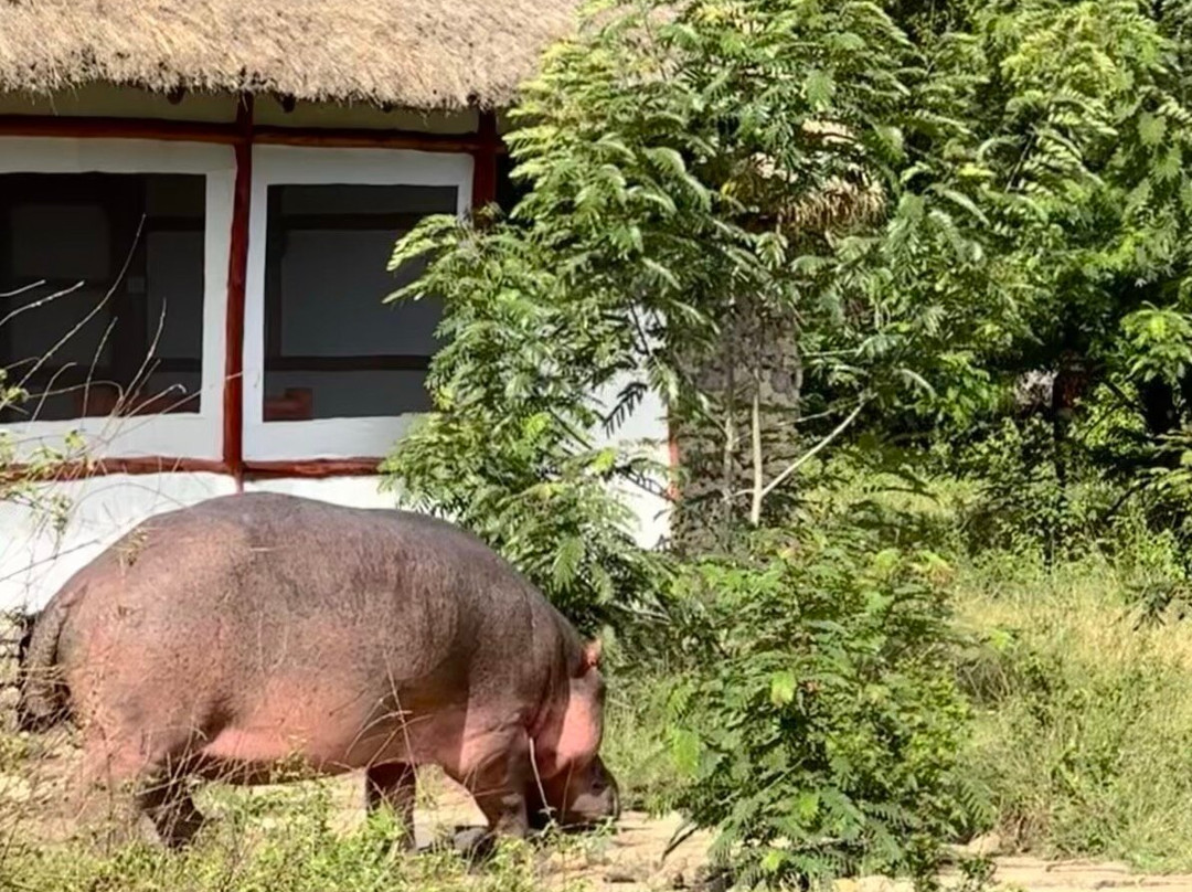 Katotours-Kisoro必去景点