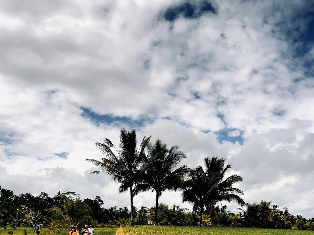 Angel Bali Vacation-巴厘岛必去景点