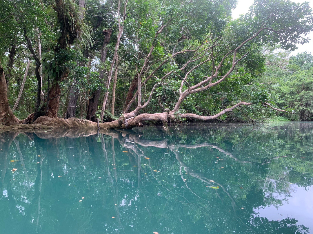 Matevulu Blue Hole-埃斯皮里图桑托岛必去景点