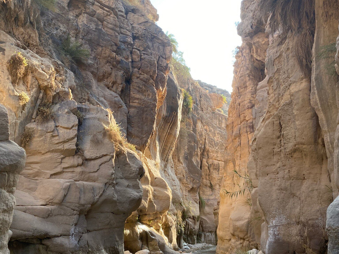 Wadi Bin Hammad-Karak必去景点