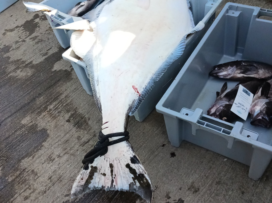 Salty Dawg Saloon-荷马必去景点