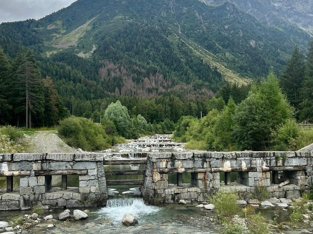 Sozzine Park景点图片