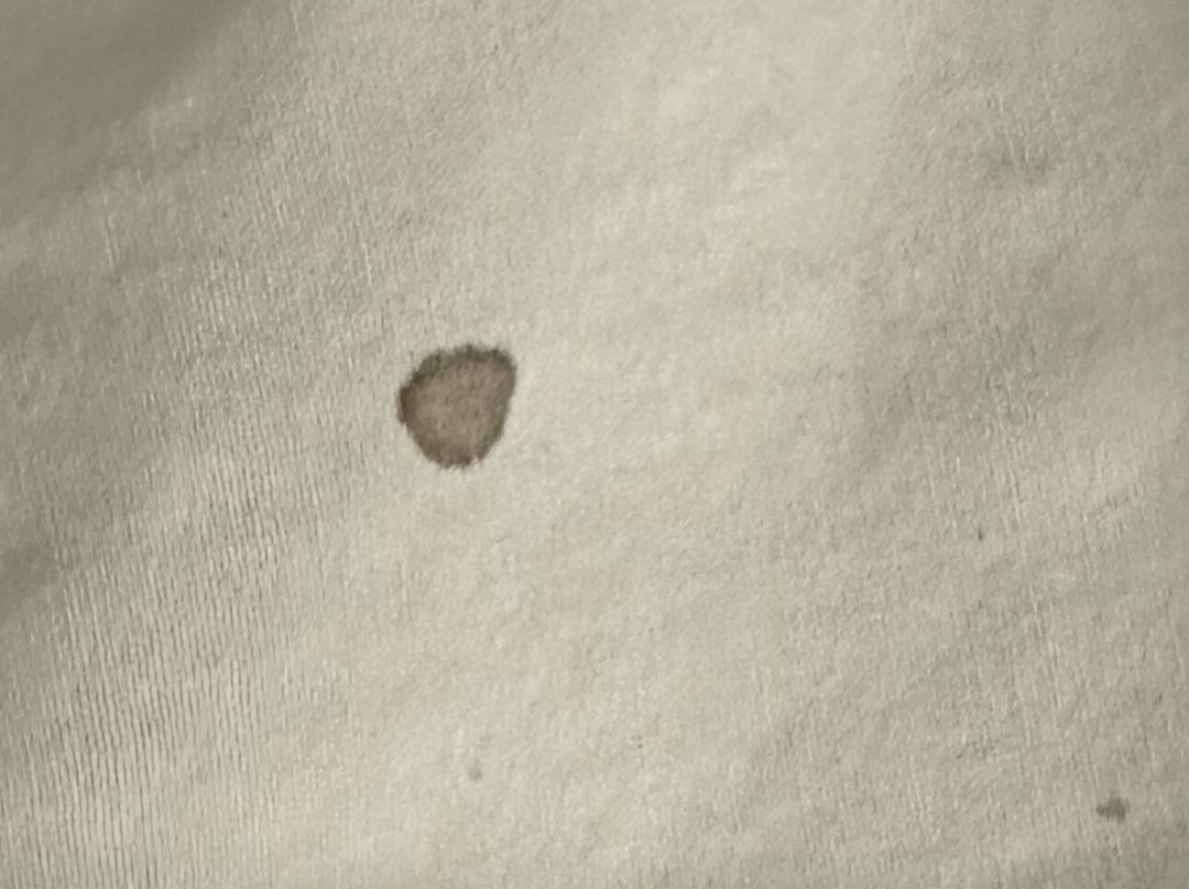 Red Roof Inn Petersburg - Fort Lee