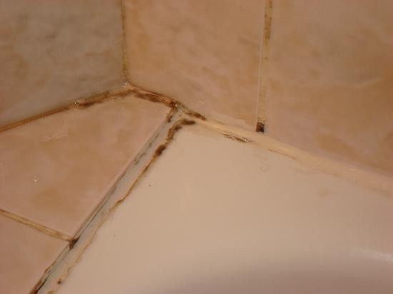 阿尼耶尔香园酒店