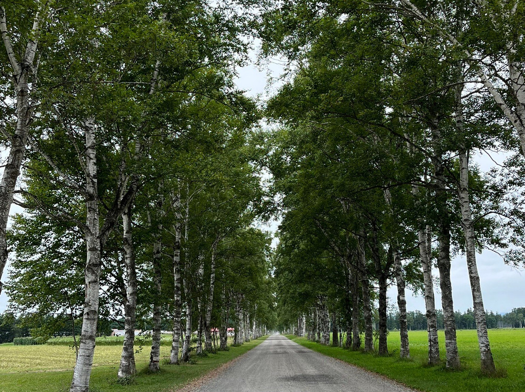 Tokachi Ranch-音更町必去景点